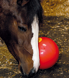Мяч для лошади под лакомства/корм Likit Snak-a-Ball арт.1560400